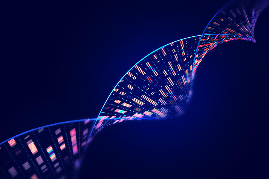 HIPAA Compliance, Data Privacy in Healthcare